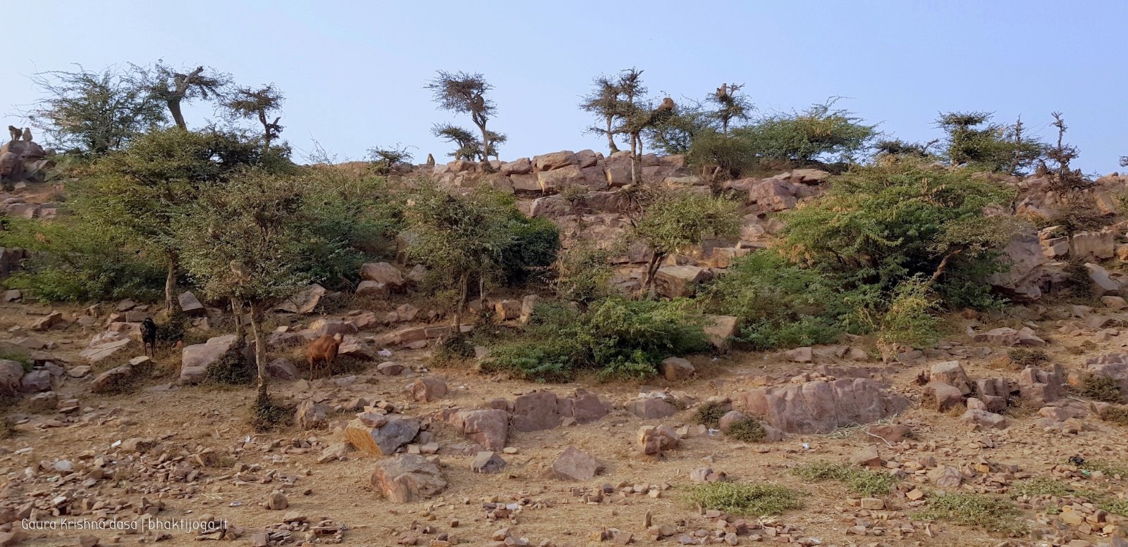  Govardhan hill. 2018.03.14